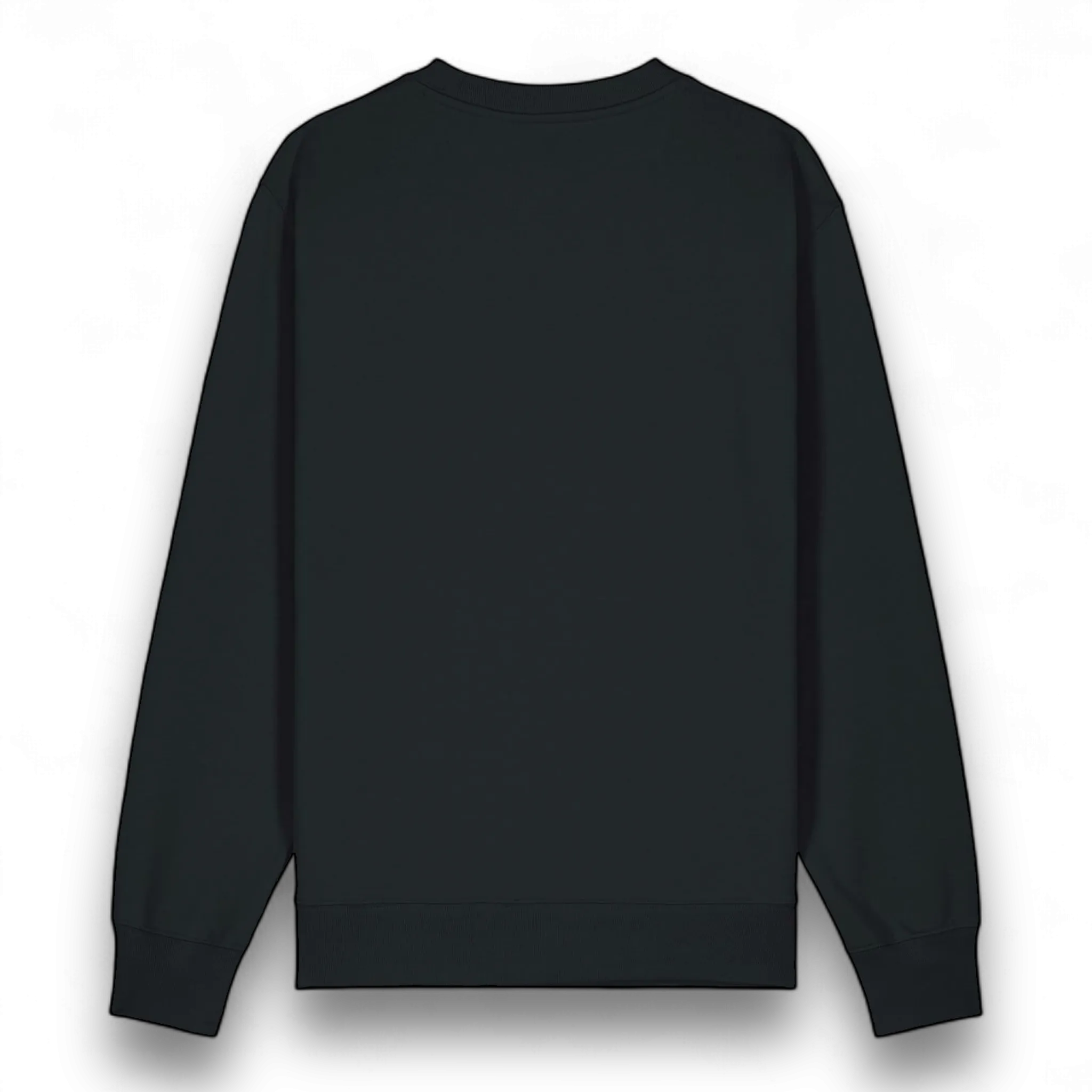'FAIRYTALE OF NEW YORK' embroidered organic men's 'changer 2.0' sweatshirt